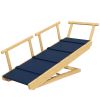 Adjustable Height Dog Ramp, Foldable Pet Stairs with Non-Slip Mat for All Dogs