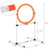 Dog Agility Training Jump Ring Tire Hoop Set Hurdle Bar Speed Equipment White Orange