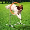 Dog Agility Training Jump Ring Tire Hoop Set Hurdle Bar Speed Equipment White Orange