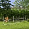 6 Piece Dog Agility Set with Adjustable Height Jump Bars, Carry Bag, Displacing Top Bar, White