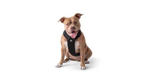 GF PET Travel Harness -Black (size: XS)