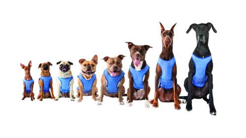 GF Pet Elasto-Fit Ice Vest - Blue (size: L)